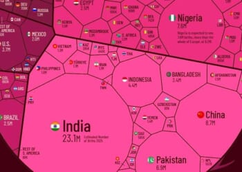 All Of The World's Births In 2025 In One Giant Chart