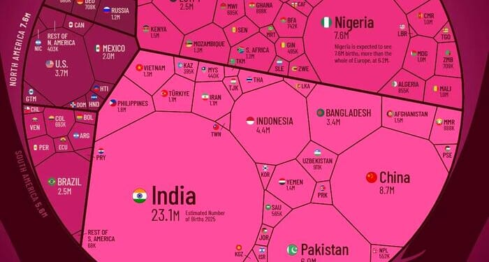 All Of The World's Births In 2025 In One Giant Chart