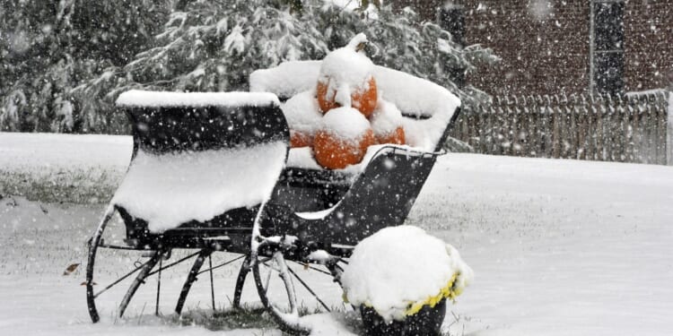 (Photo by MLADEN ANTONOV/AFP via Getty Images).