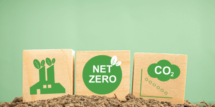 net zero