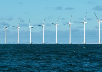 Few Takers in Europe’s Offshore Wind Auctions Due to a Lack of Subsidies