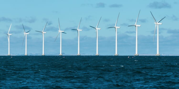 Few Takers in Europe’s Offshore Wind Auctions Due to a Lack of Subsidies