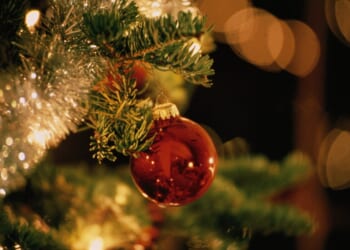 Bauble on Christmas Tree