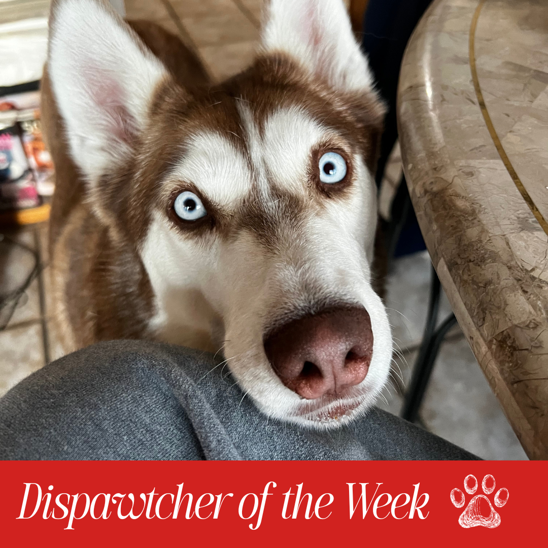 Copy of Dispawtch of the Week (3)