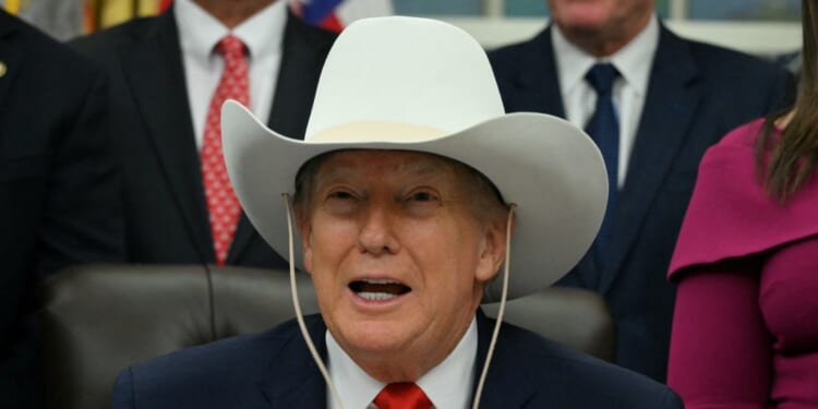 TOPSHOT-US-POLITICS-TRUMP