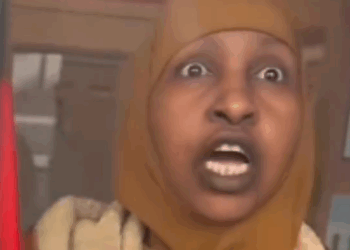 "Not White Supremacy To Investigate Fraud": Citizen Journalists Flood Democratic Cities