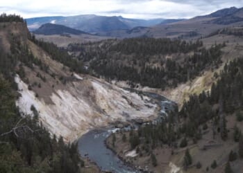 Progressivism in the Park | The Heritage Foundation