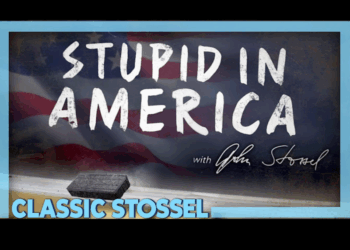 “Stupid in America” Turns 20