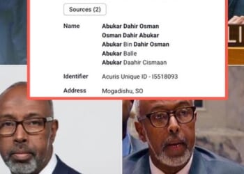 Ethics Questions Swirl Around Somalia's UN Ambassador Tied To Ohio Healthcare Company