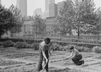 Back To Our Roots. If Baby Boomers Did It, So Can We...