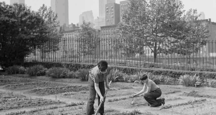 Back To Our Roots. If Baby Boomers Did It, So Can We...