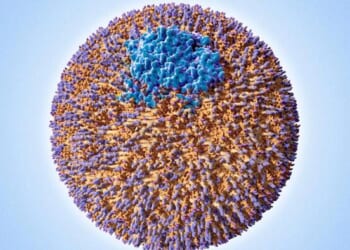 Your Cholesterol May Look Normal... But This Hidden Particle Could Still Be Raising Your Heart Risk