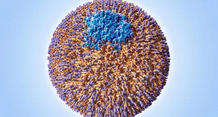 Your Cholesterol May Look Normal... But This Hidden Particle Could Still Be Raising Your Heart Risk