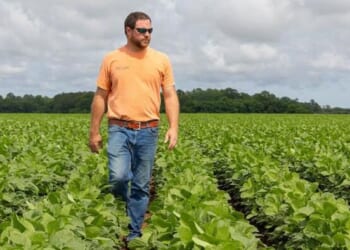 Farmland Shock: Georgia Grower Drops 3,000 Acres, Warns Of Unplanted Ground in 2026