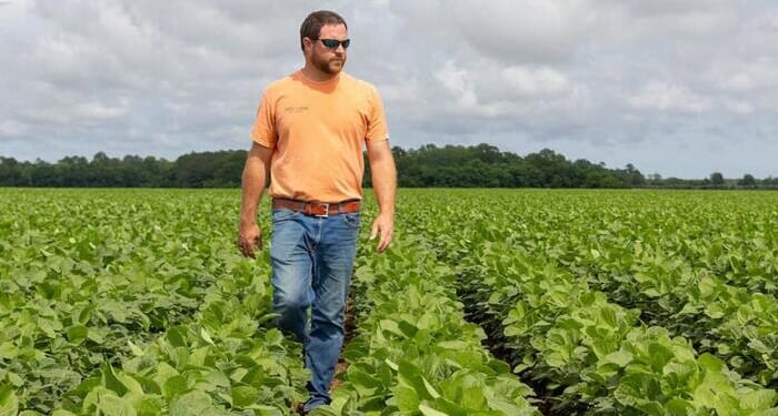 Farmland Shock: Georgia Grower Drops 3,000 Acres, Warns Of Unplanted Ground in 2026