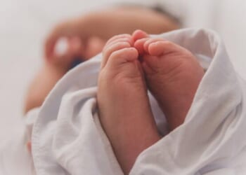 France Records First Peacetime Natural Population Decline As Deaths Exceed Births