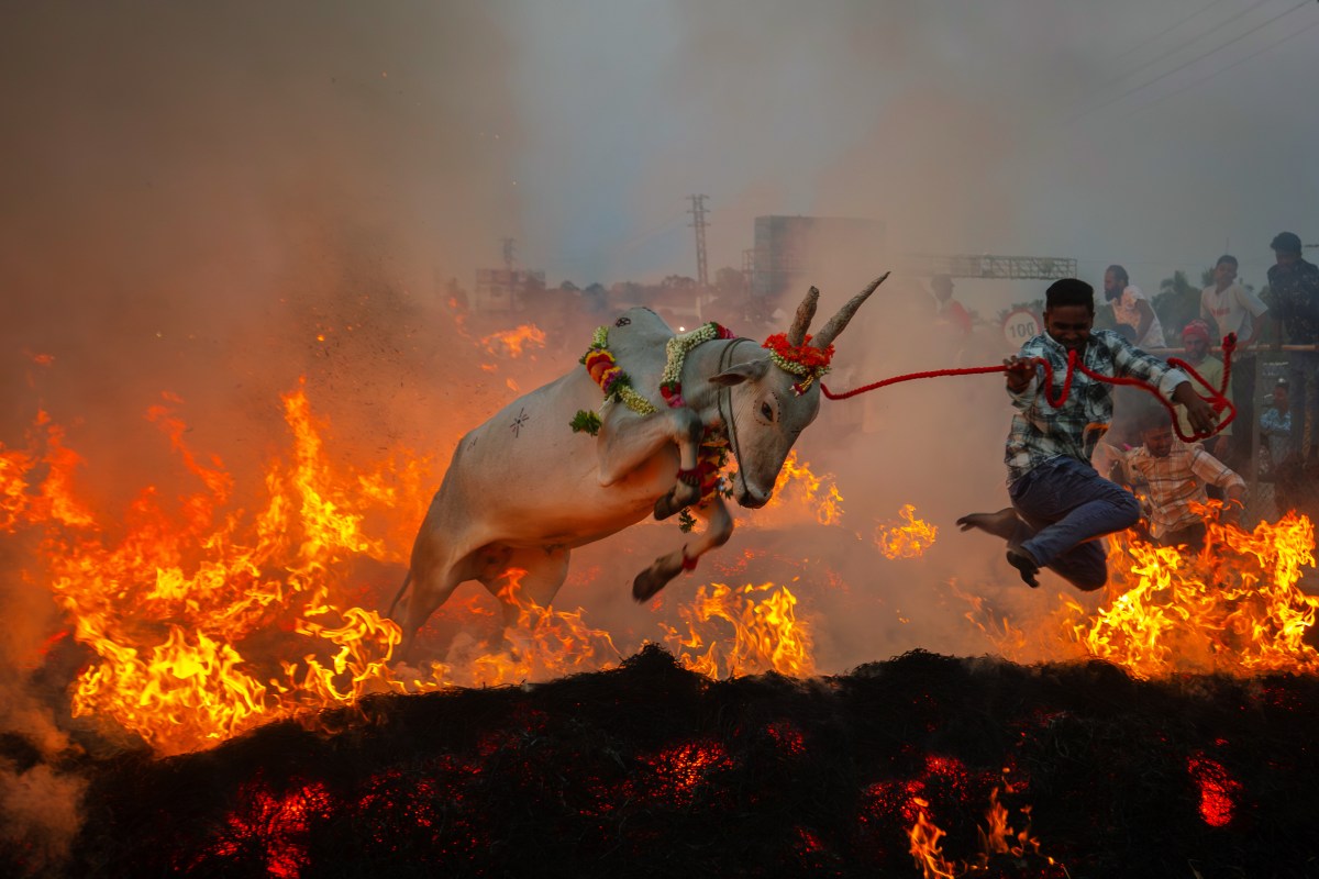Karnataka Villages Hold Kicchu Haisodu Ritual