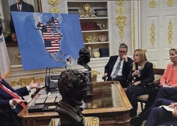 Democrats Are Trying To Weaponize The 25th Amendment Again, And It Won't Work