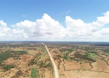 Somalia And The High Cost Of Low Trust