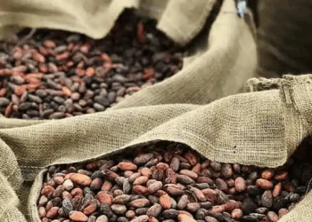 Cocoa Prices Set For Worst Monthly Drop On Record As Demand Craters
