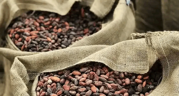 Cocoa Prices Set For Worst Monthly Drop On Record As Demand Craters