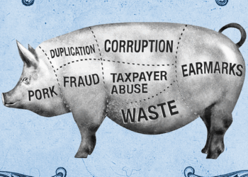 House This Week Passed $839 Billion Defense Bill Bursting With Pork