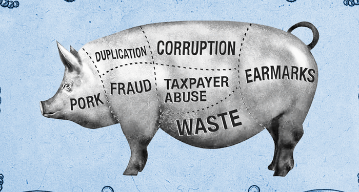 House This Week Passed $839 Billion Defense Bill Bursting With Pork
