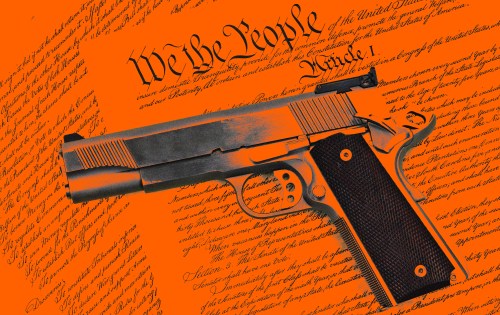 GunandConstitution