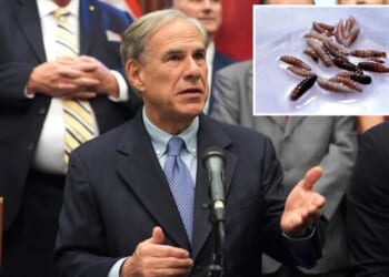 Texas Governor Issues Disaster Declaration Over Spread Of Parasitic Screwworm