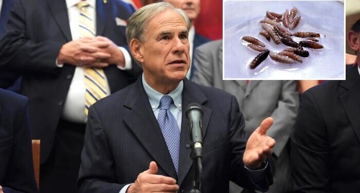 Texas Governor Issues Disaster Declaration Over Spread Of Parasitic Screwworm