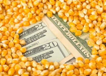 Limiting Small Refiner Protections From the RFS Puts US Refining Capacity at Risk