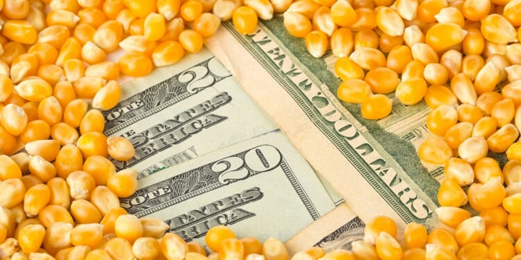 Limiting Small Refiner Protections From the RFS Puts US Refining Capacity at Risk