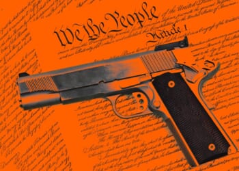 Principle Insurance - The Dispatch