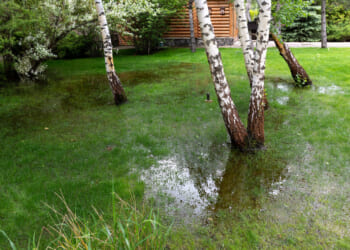 The Long Road Back to the Rule of Law on Waters of the United States