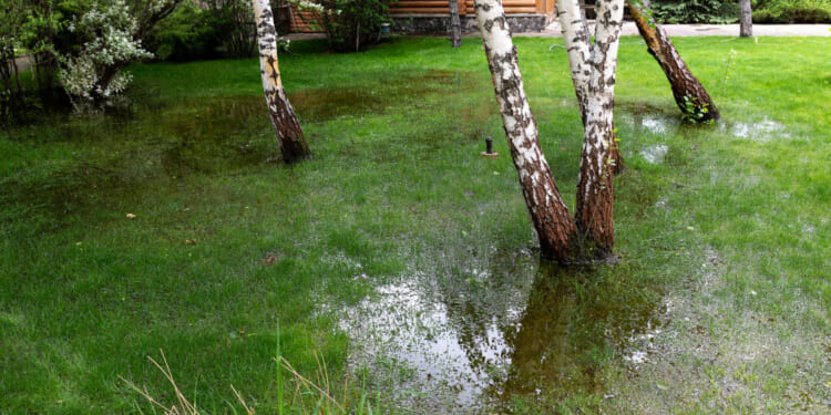 The Long Road Back to the Rule of Law on Waters of the United States