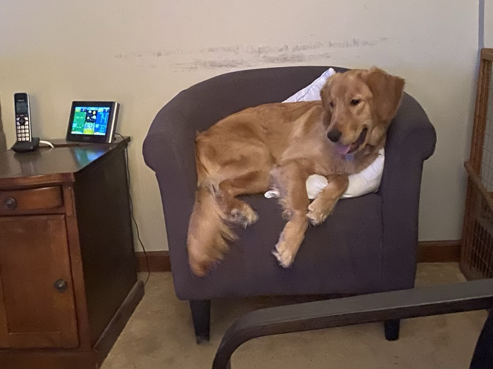 574852135_10234972553188519_1861096551252432803_n