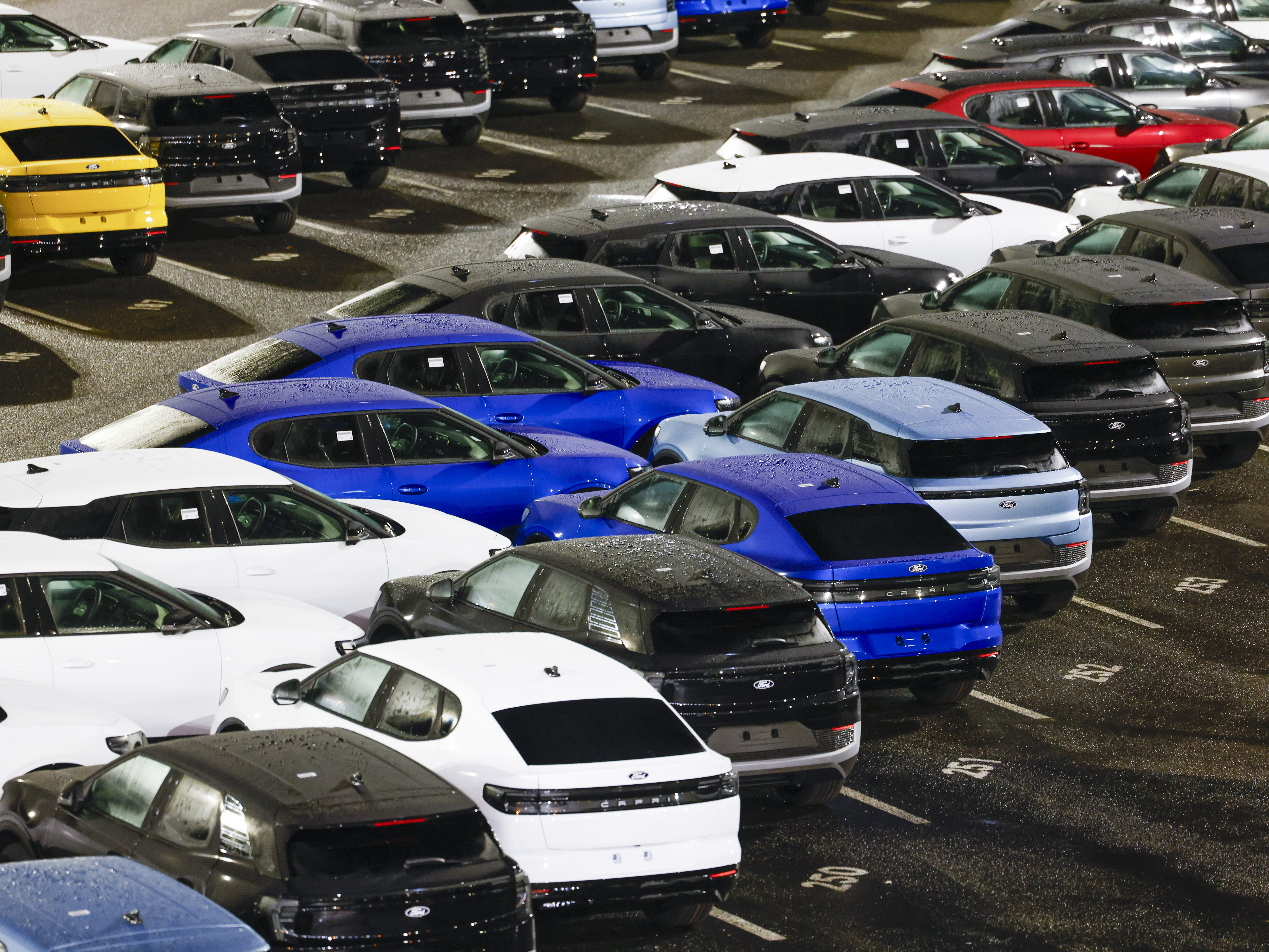 New electric cars are available for collection on the Ford premises. Photo: Thomas Banneyer/dpa (Photo by Thomas Banneyer/picture alliance via Getty Images)