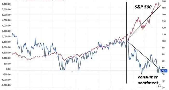 Bifurcation Nation & The TINA Economy's Freefall