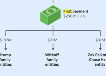 UAE Firm Bought 49% Of Trump-Linked Crypto Startup For $500M: WSJ