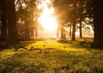 The Government Is Obsessed With Making Britain's Countryside 'Less White'