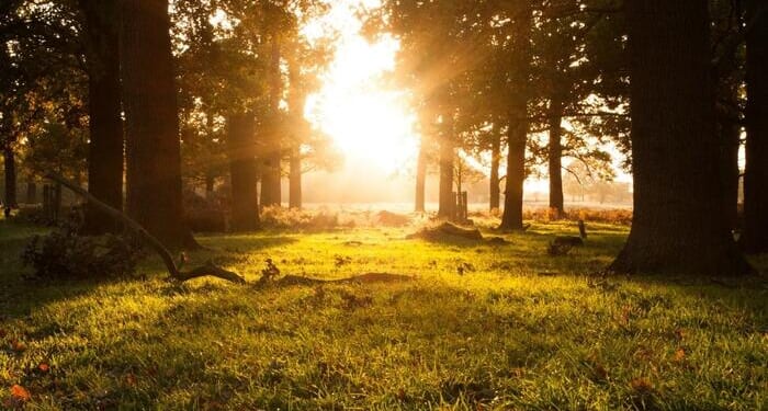 The Government Is Obsessed With Making Britain's Countryside 'Less White'