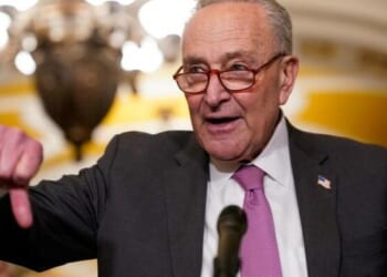 Chuck Schumer Claims Voter ID Laws Are The Return Of "Jim Crow"