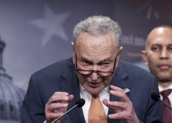 Democrats Just Gave Away The Real Reason They're Fighting Immigration Enforcement