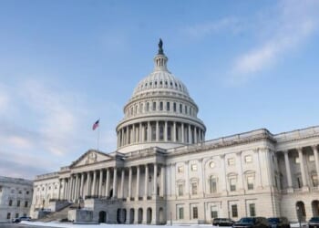 Republicans Demand Inclusion Of SAVE Act In DHS Funding Bill - What To Know