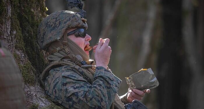 Study Of Military Meals Finds Low Nutrients, Concerning Contaminants