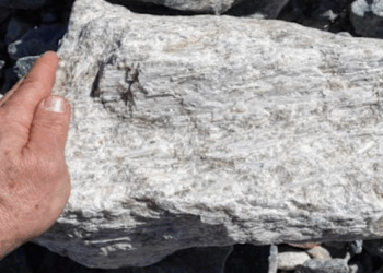 Zimbabwe Lithium Disruption Has Goldman Eyeing This Trade