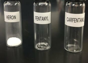 A Montreal Narco Network Busted For Allegedly Smuggling Super Fentanyl Into America