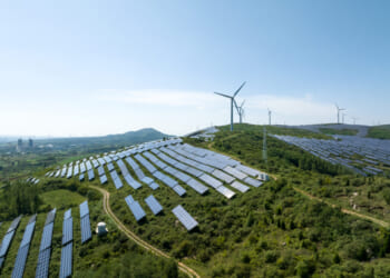 Global Elites Clinging to Green Policies Are Clueless