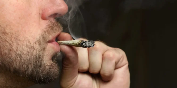 New York Times Admits “America has a Marijuana Problem” • Eagle Forum