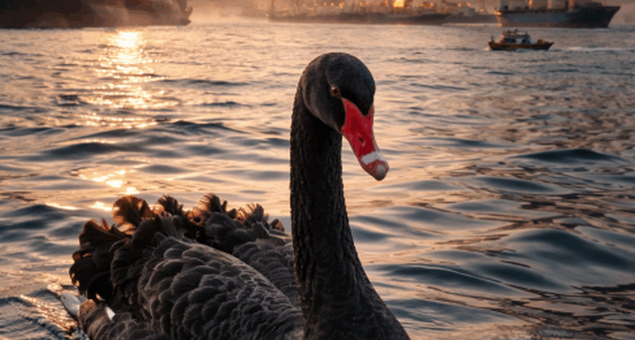 "This Will Bring Down Global Economy": Qatar's Energy Minister Offers Dire Warning About Hormuz Chokepoint Chaos